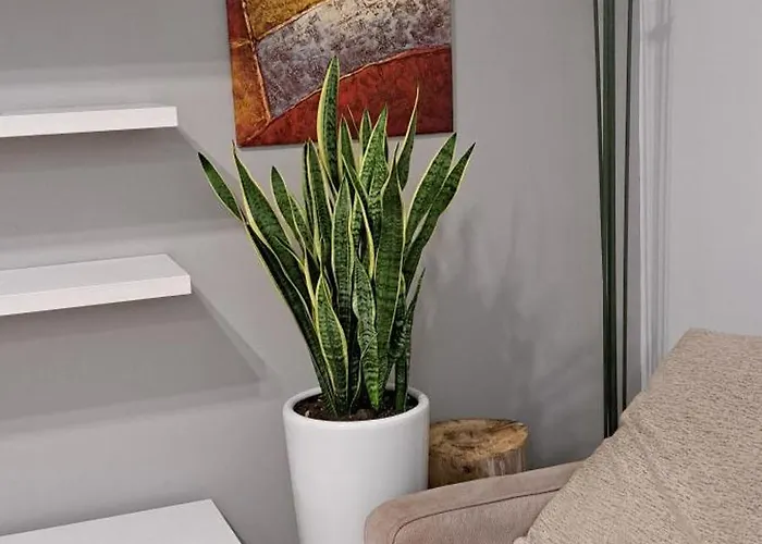 Apartamento Marco Venice