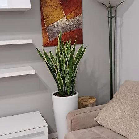 Apartament Marco Venice